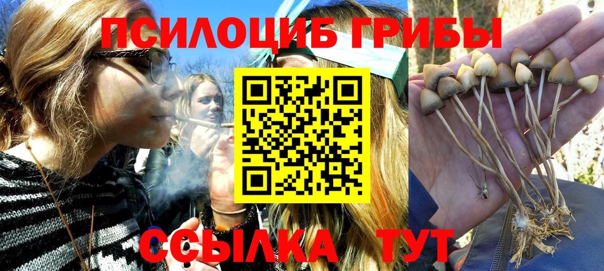 Галлюциногенные грибы Cubensis Чусовой